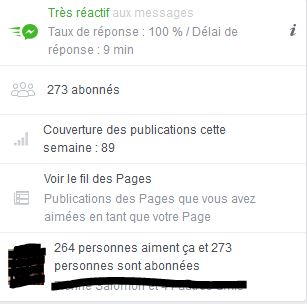 Facebook A.L Legrand - Arcaëlle et autres [Page Facebook Auteur] Stat11