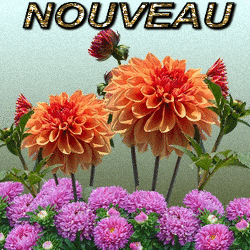 Nouveaux messages