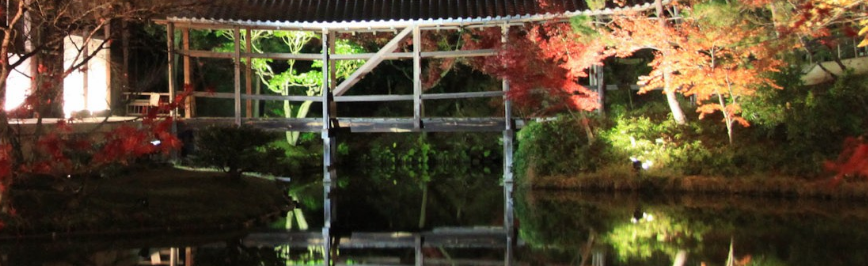 KODAI-JI Le temple aux érables et bambous à Kyoto Captur27