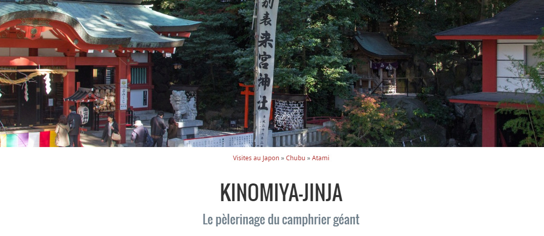 KINOMIYA-JINJA Le pèlerinage du camphrier géant Captur28