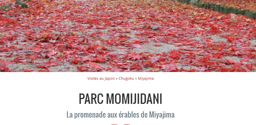 PARC MOMIJIDANI La promenade aux érables de Miyajima Captur37