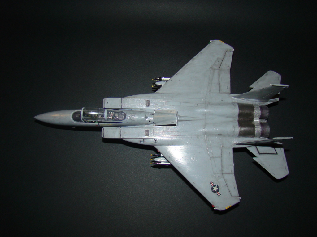 [Revell] F-15A  Eagle (1974) Dsc06914