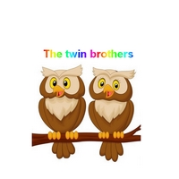 English irregular verbs : The twin brothers (Pr + PP identiques) 0the_t13
