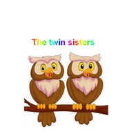 English irregular verbs : The twin sisters (BV + PP identiques) 0the_t17