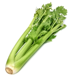 Les fruits et légumes Celeri10