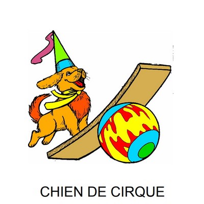 Le cirque - Cartes Flash     Chien_15