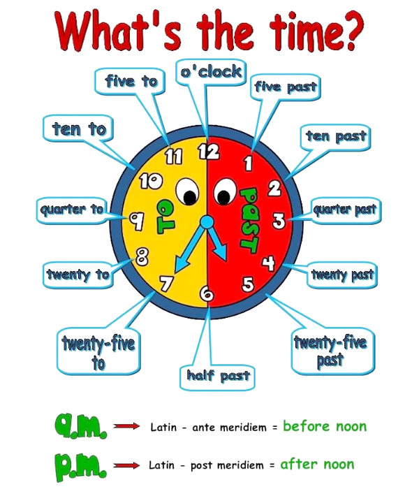 Vocabulary : Time (Picture book) Dire_l10
