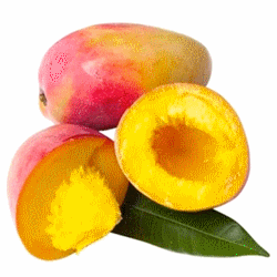 Les fruits et légumes Mangue10