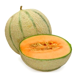 Les fruits et légumes Melon18