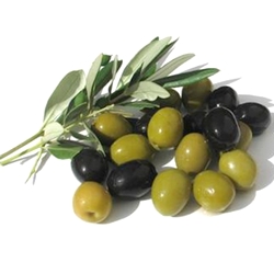 Les fruits et légumes Olive11