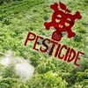 Photos Imagier Légumes Pestic11