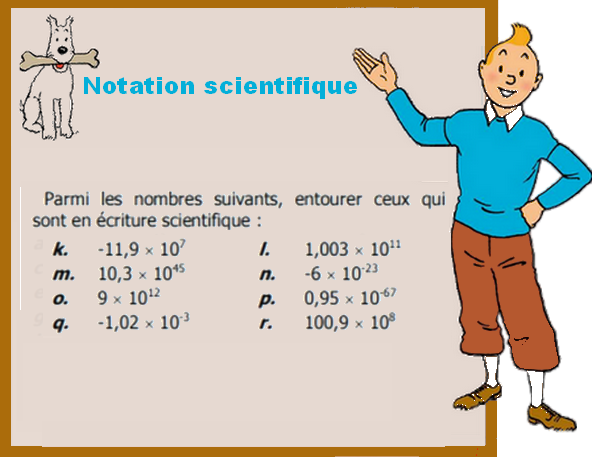 01 Exercices corrigés Révision DNB Piqure42