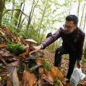 Sortie en forêt Trouve10