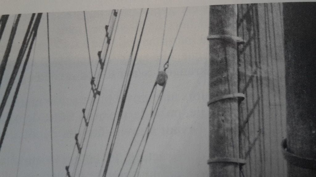 Goélette de pêche Islandaise [base Rose Mantua 1/47°] de jojo5 - Page 4 20211301