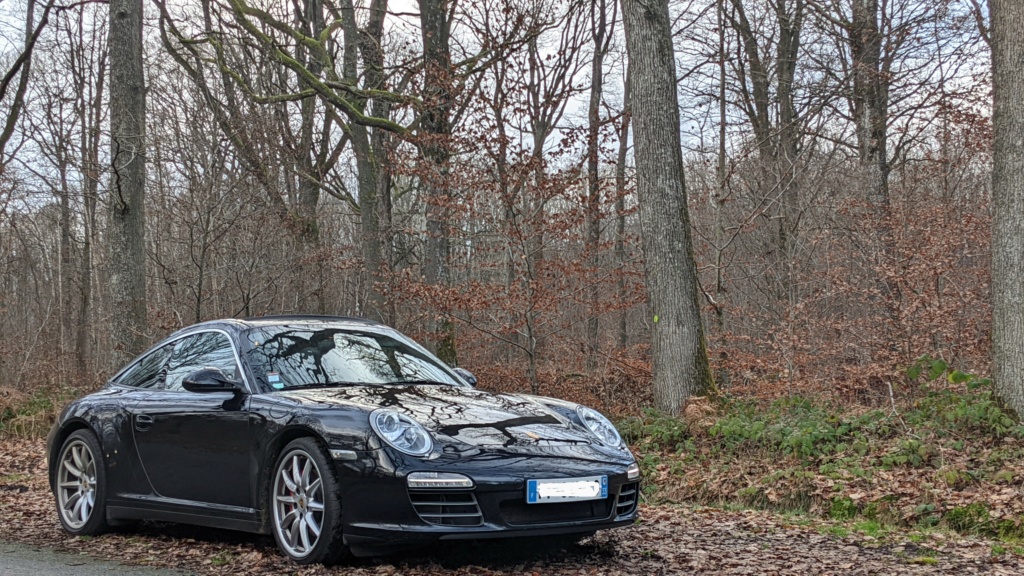 911 Targa Chevre10