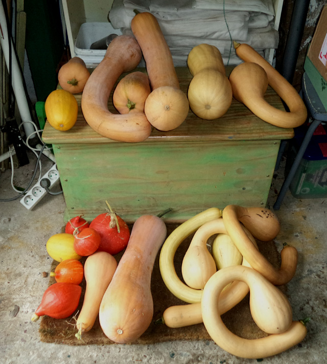 Marché du jour 1oct2011