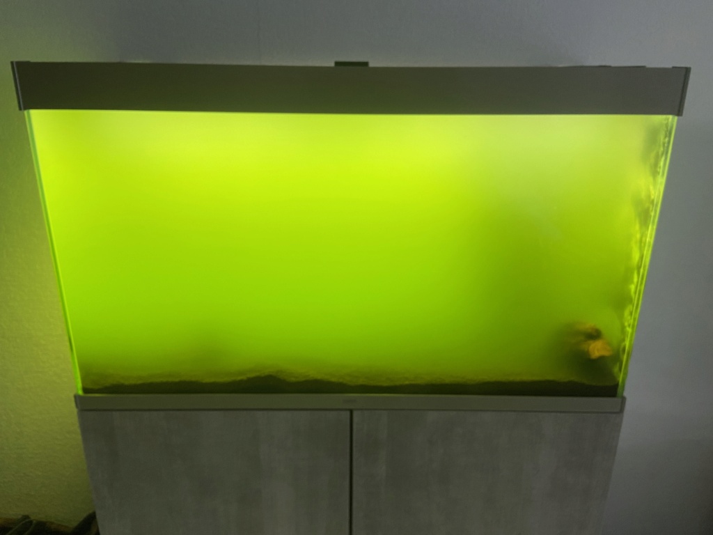 Aquarium 200L eau douce luminosité  Ce092410