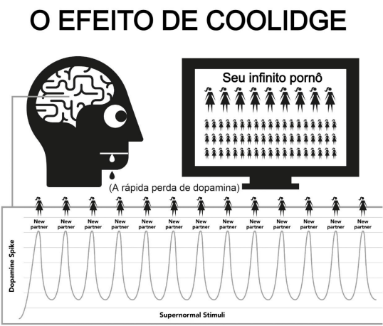 Diário de Jonathan - Página 2 Screen11