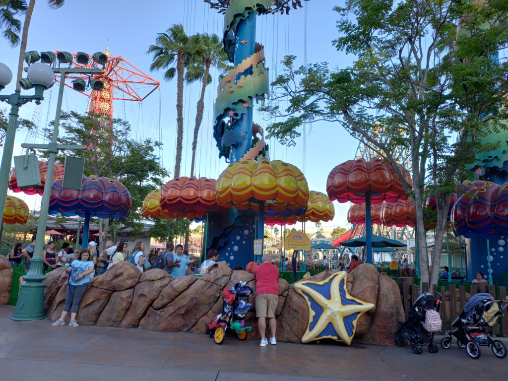 Une semaine à Disneyland Resort - Page 2 20220834