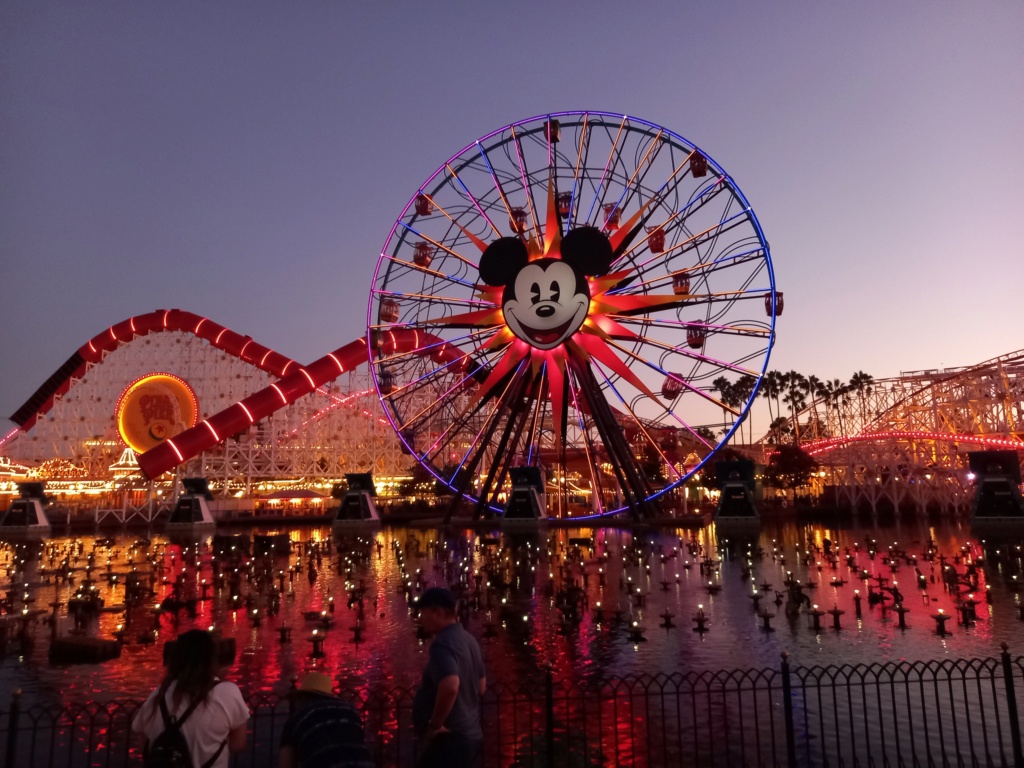 Une semaine à Disneyland Resort - Page 2 20220835