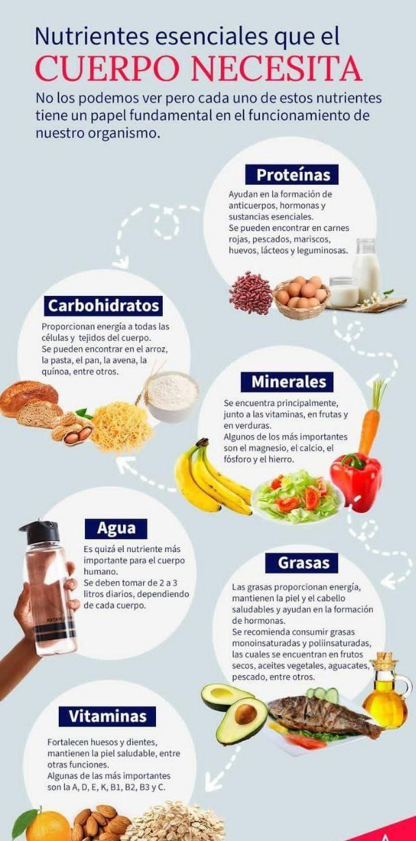 Nutrientes esenciales que el cuerpo necesita Img_2059