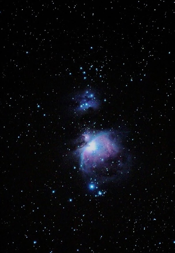 [Astronomie]  ☞ Nébuleuse d'Orion. Img_5610