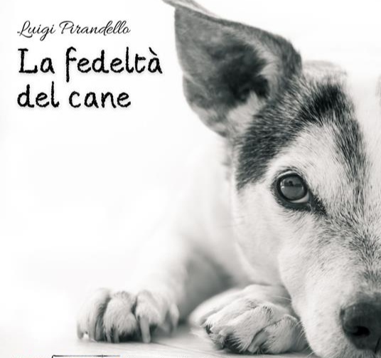 Racconti siciliani : Luigi Pirandello - La fedeltà del cane  Img_2011