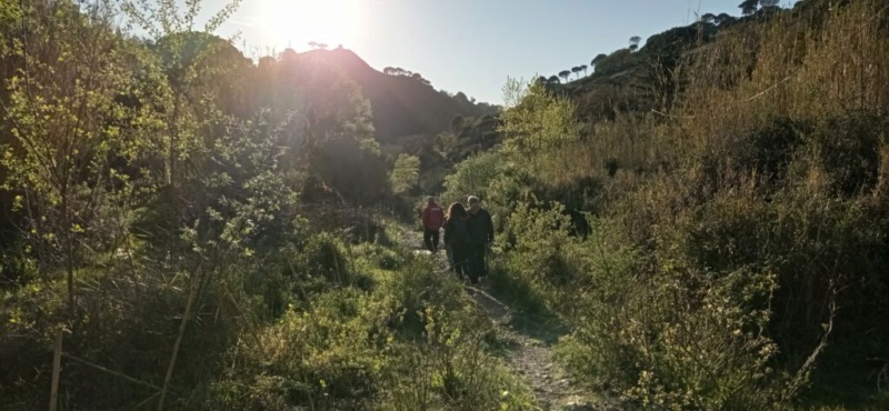 Una bella camminata dal Villaggio di Salice al torrente Marmora Img_2018