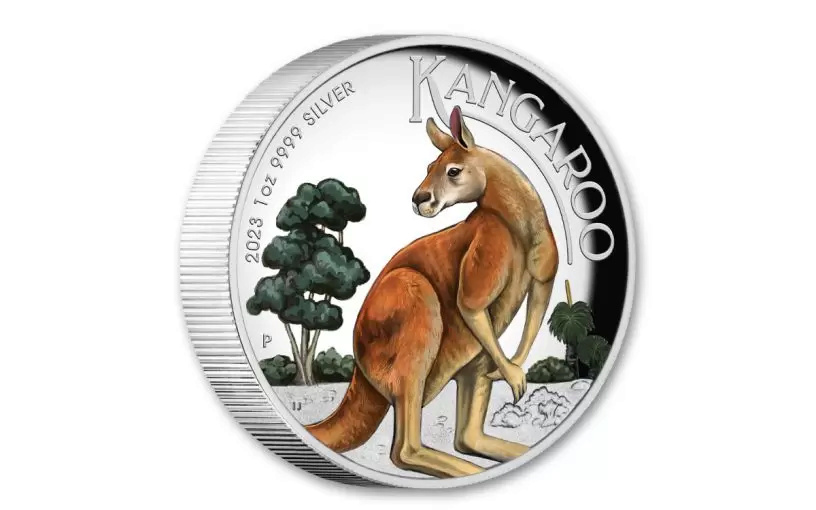 The Kangaroo That Got Away  41524710