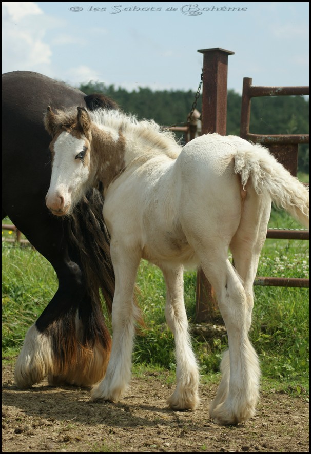 Je lance ma recherche pour trouvé coup de coeur <3 Dsc00615