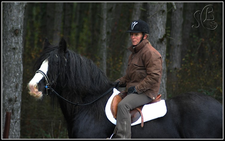 Aslan et Uragan, duo de choc pour filles de choc !  Dsc06322