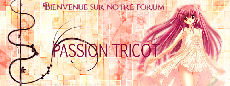 PASSION TRICOT