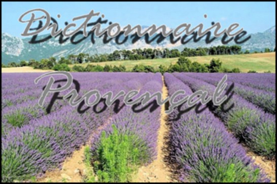 Dictionaire Provencal Et Marseillais