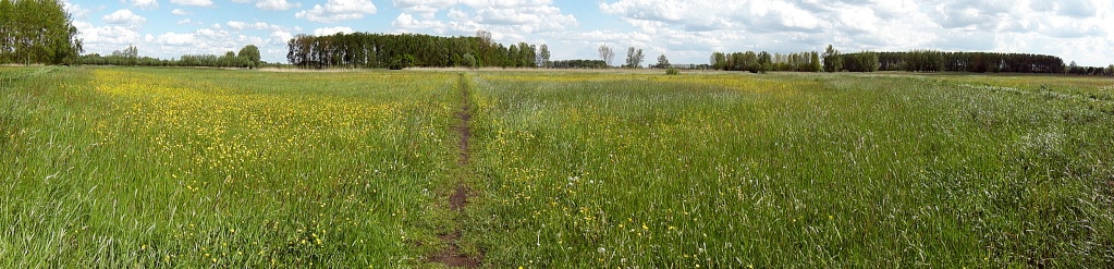 Kalkense Meersen panorama Molenm11