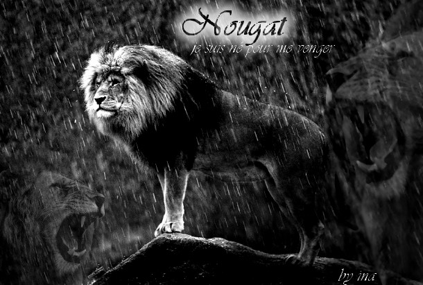 mes lion(ne)s Nougat10