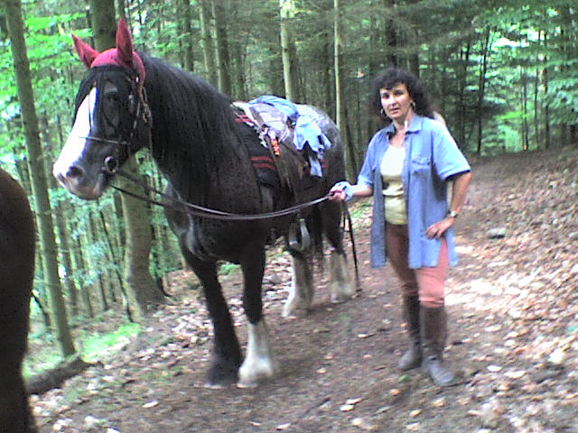 Roxane encore en balade dans les Vosges Divers14