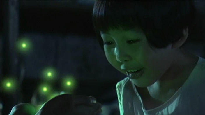 Le tombeau des lucioles - Le film Hnh15q10