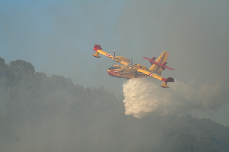 Intervention canadairs Img_5311