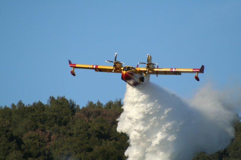 Intervention canadairs Img_5313