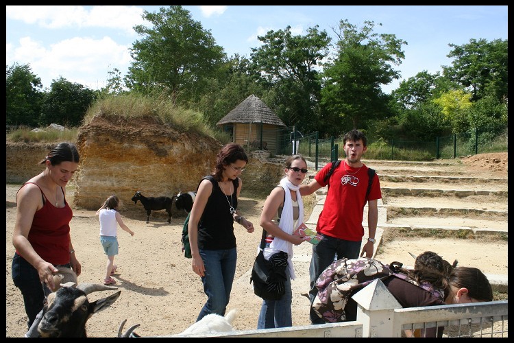 Nos photos, Sortie Zoo de doué - Page 2 Img_4326