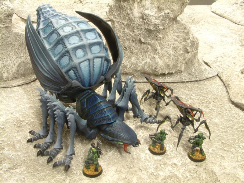 vends armée arachnids - tyranides !  120€ 1750pts - VENDU Xplasm10