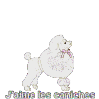 Pas de nouveaux messages Pas de nouveaux messages