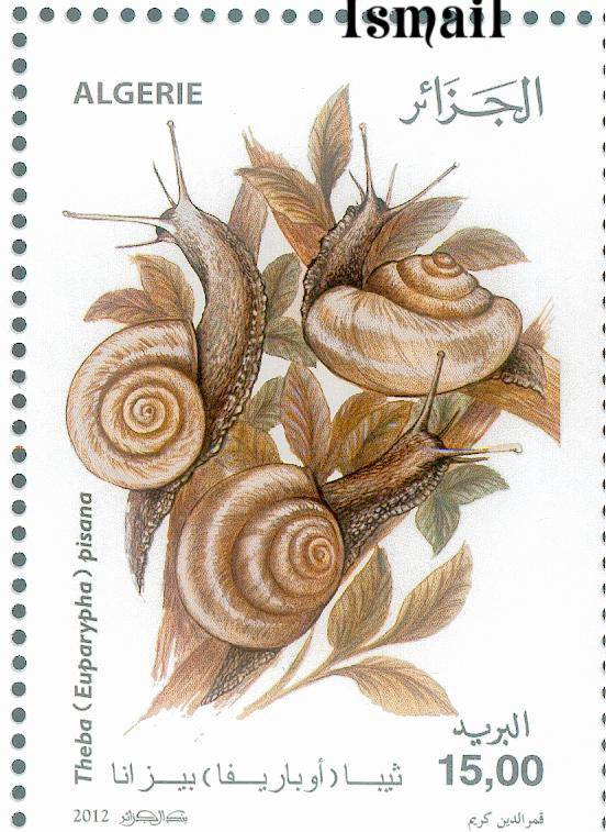 4 : Les escargots 1820