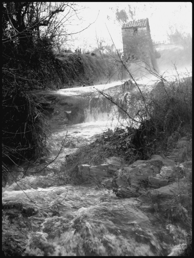 Concours photo du mois de décembre - Page 2 Dsci1310