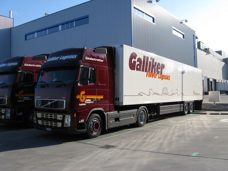 TRANSPORT GALLIKER (ch) Gallik34