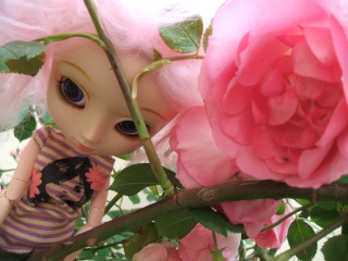 [Papin] Miko dans les roses Pullip28