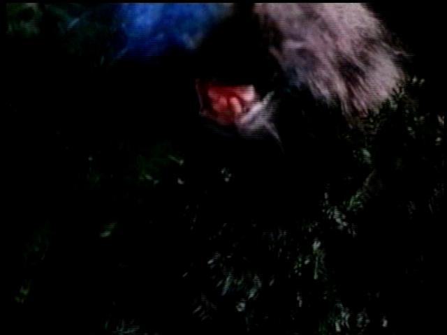 GNAW:FOOD OF THE GODS 2 - LA MALEDICTION DES RATS [1989] Vlcsna11