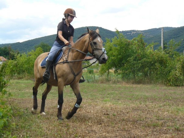 Douune - 20 ans - Dressage 08_07_12