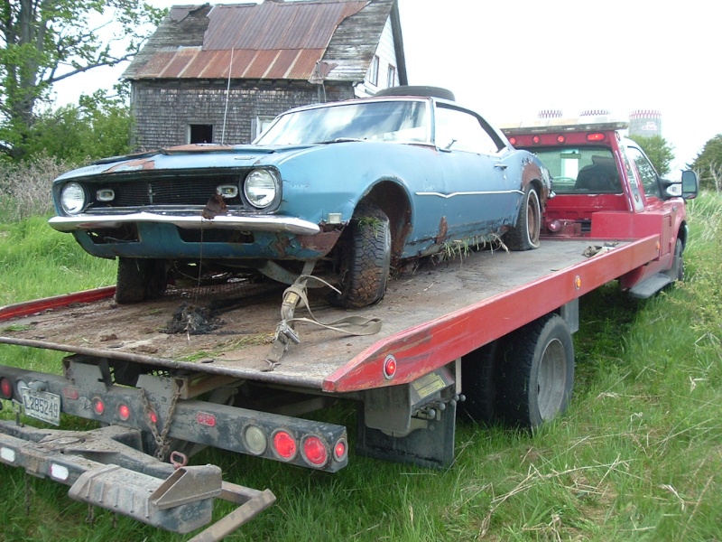 camaro 1968 abandonnée prés de chez moi Dscf4149