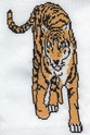 tigre Tigre110